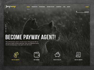 Payway digital design e comerce web design web site