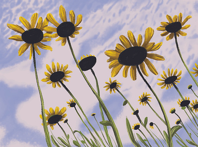 SUN FLOWER design illustration