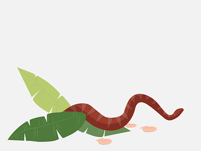 Jungle Series 4 illustration jungle plants snake
