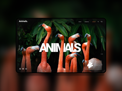 UI/UX Design. Animals. animals design ui design ux uxui web webdesign