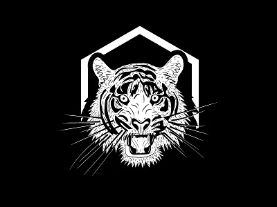 Tigers animal drawing icon illustration mark sketch tiger