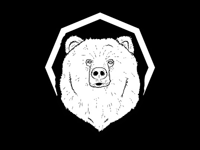 Bear animal bear drawing icon illustration mark sketch