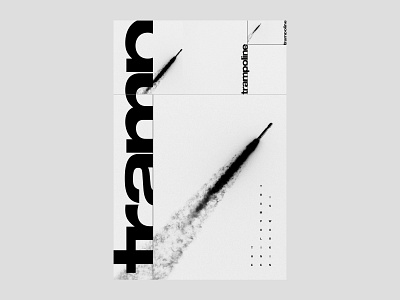 The trampoline is working! | poster | day 12 astronauts black and white cosmos crew dragon elon musk elonmusk endeavour falcon 9 minimal minimalism poster rocket space spaceflight spaceship spacex trampoline trampolineisworking typography