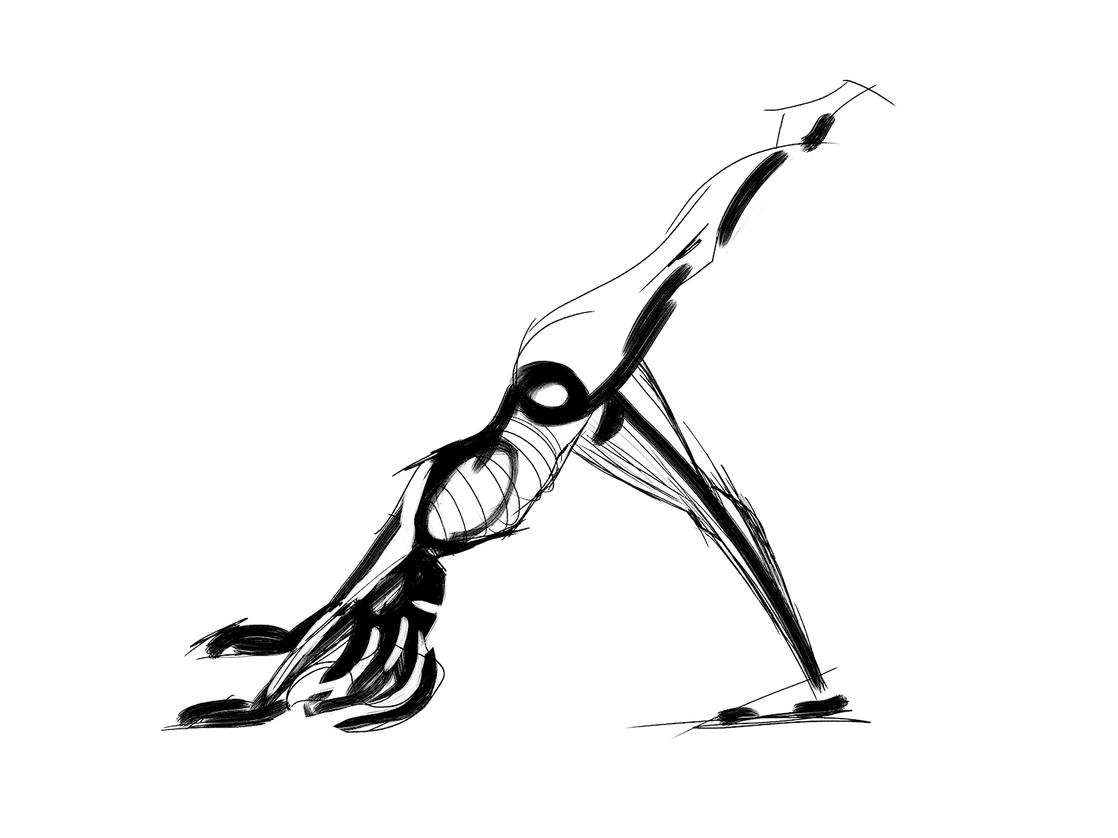 Yoga sketch  Yoga drawing Yoga artwork Yoga illustration