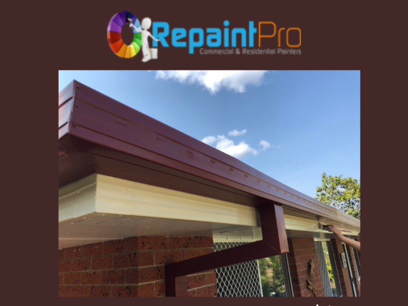 Gold Coast Professional Painter by Repaint Pro on Dribbble