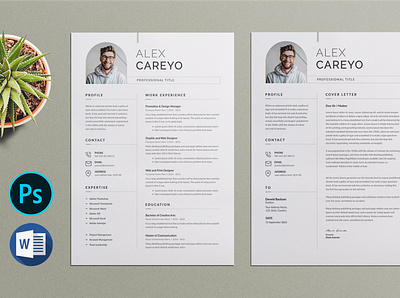 Resume minimal resume