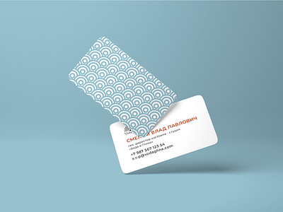 bussines card for brandbook