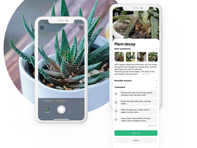 Plantapp - app for plant care app app design application camera care design plant plant app scan scanner ui ui design ux ux design