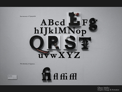 The Anatomy Of Typography