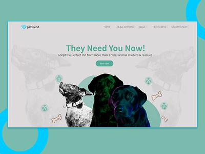 Dog rescue website hero . app best ui design design dogs landingpagedesign logo pet petwebsite uidesign website design