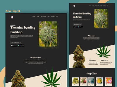 6th dimension Cannabis website Design.