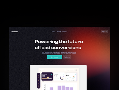 Paleads: A leads conversion Landing page dashboard dashnoard design landing page design saas service page
