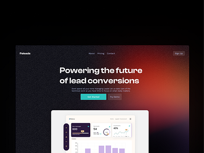 Paleads: A leads conversion Landing page