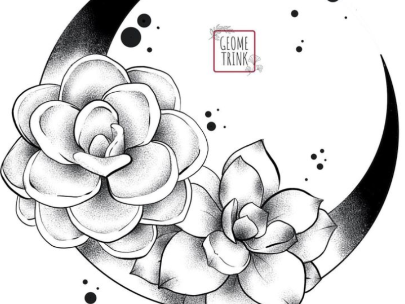 Succulent Black and White Vector Images over 4200