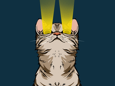 cat glow artwork cat character illustration kitty