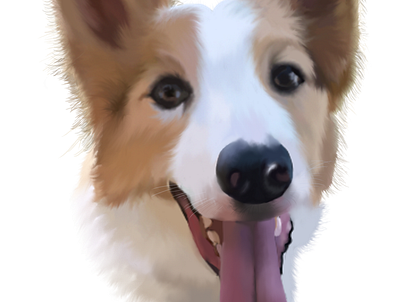 Digital Illustration digital illustration digital painting digitalart pet