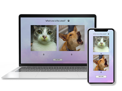 Cat or Dog? front end development frontend frontend design game design responsive design