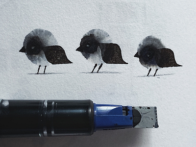 Ink Splodge Birds art birds calligraphy character design design ink nature