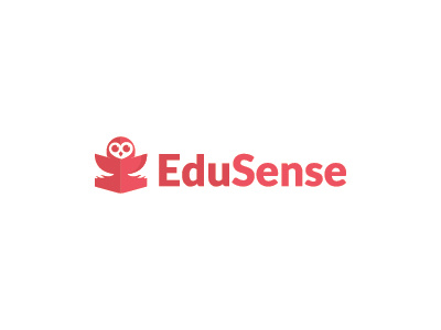 Little Owl - Edusense 3