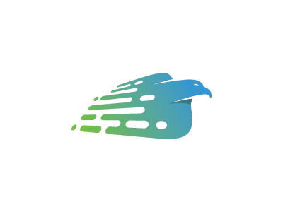 Data Hawk bird cloud computing computing data eagle flying hawk icon logo mark symbol technology