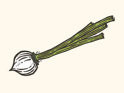 Onion grocery handdrawn health illustration ink market onion vector vegetable veggie