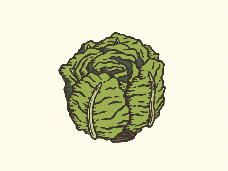 Lettuce by John Coleman on Dribbble