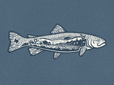 Hillcountry Trout