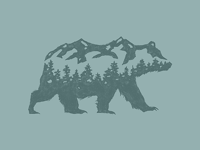 Mountain Bear