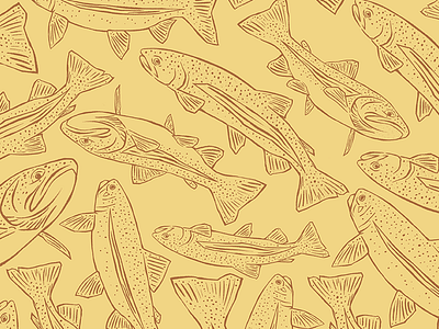 Trout Wallpaper