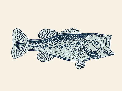 Largemouth Bass apparel bass design fish fishing ink lakes procreate river texas texture vintage