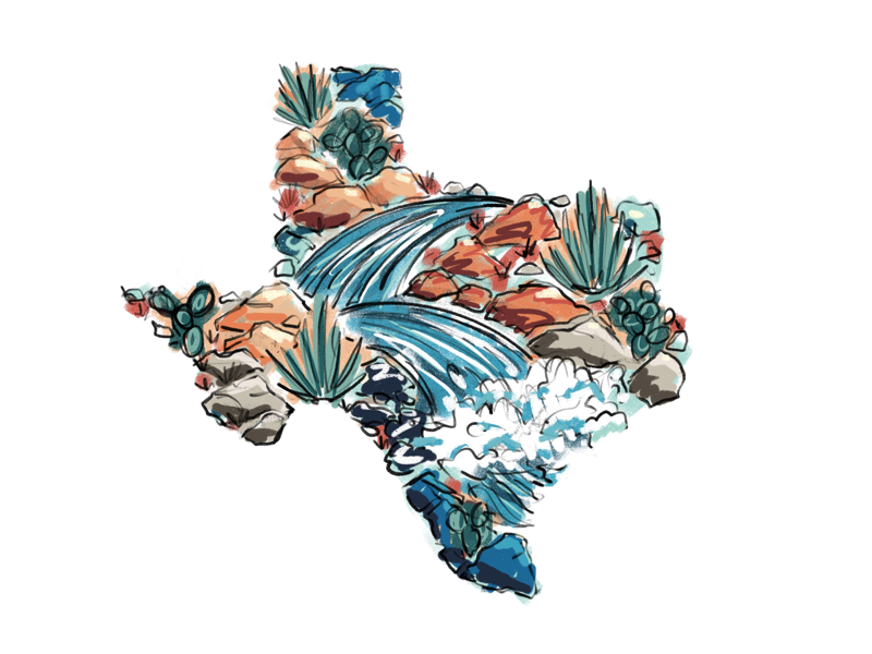 Texas Wildflowers by Rory Linn on Dribbble