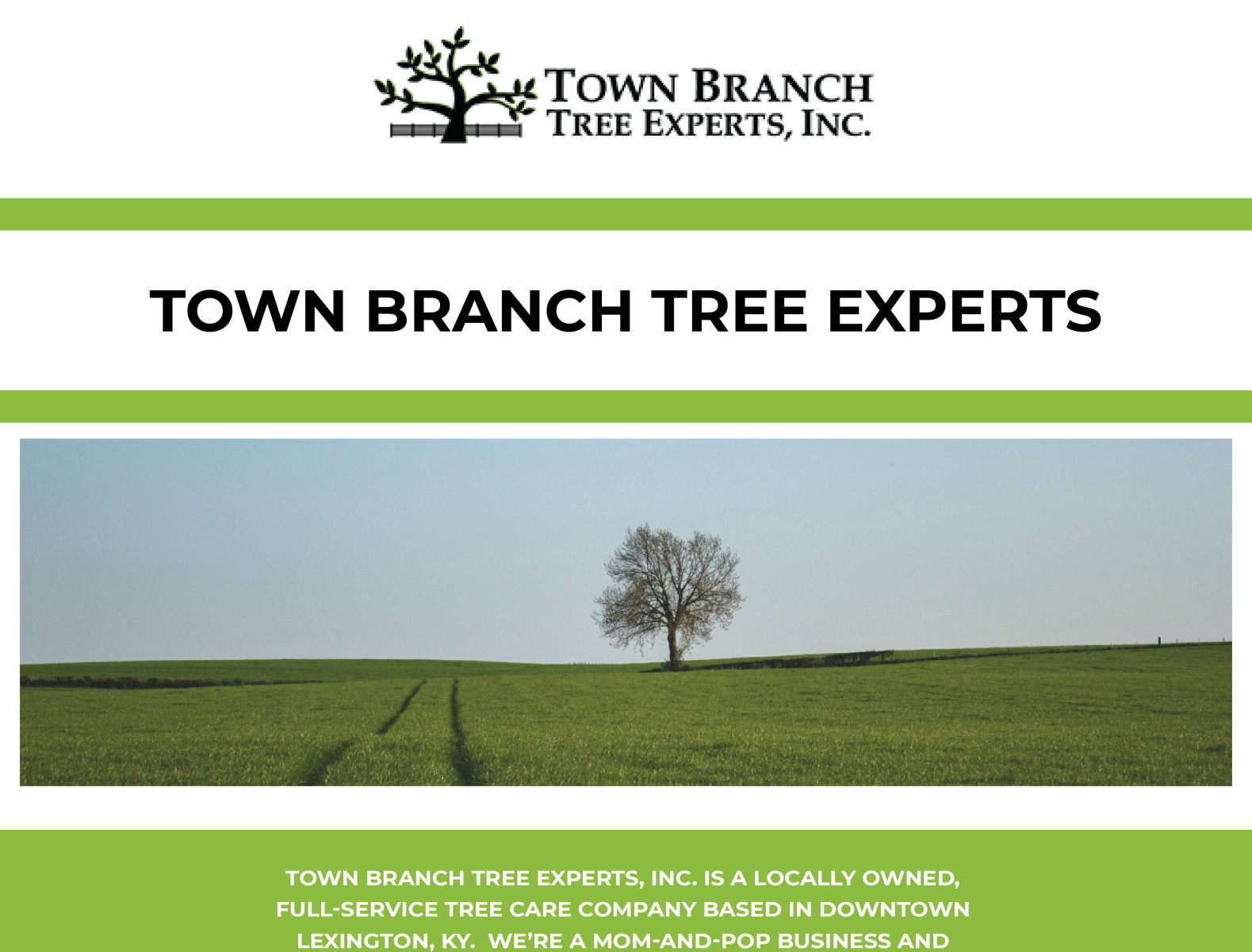 Online best Town branch tree experts service at Town Branch Tree by Town Branch Tree Expert on