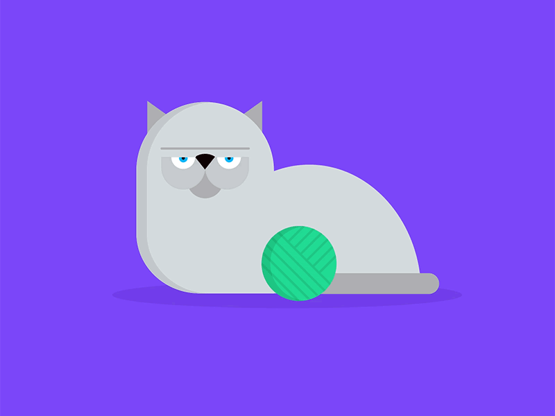 Cool Cat animation cat gif