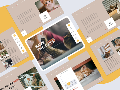 Cat charity web design app concept art clean creative design flat light pages ui ux webdesign website