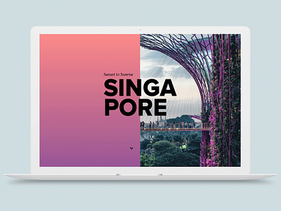 Singapore Night & Day microsite tourism
