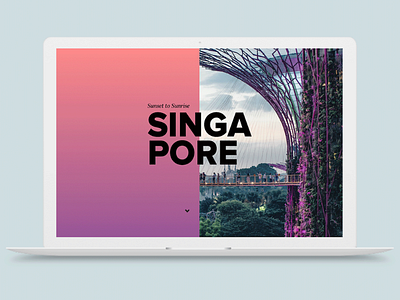 Singapore Night & Day