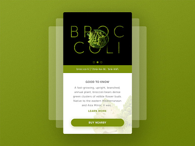 Mobile Profile UI : Broccoli app art direction design interface mobile ui ux