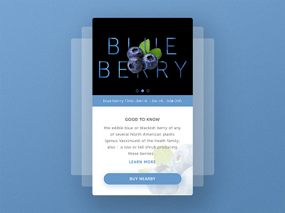 Mobile Profile UI : Blueberry app art direction clean design interface mobile ui ux