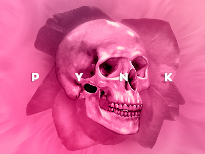 Pynk Skull art art direction conceptual creative digital drawing illustration