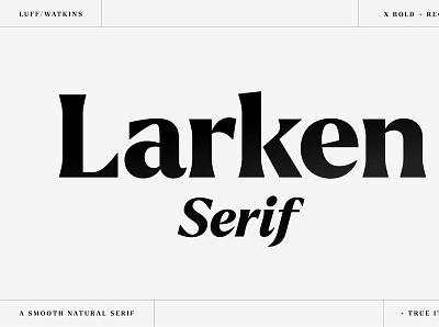 Larken - A Beautiful Serif creative design download font design font family fonts free serif font serif font family serif font free serif fonts