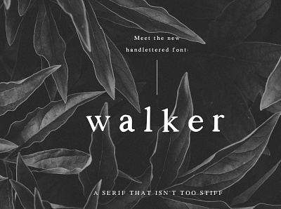 Walker: a Handlettered Serif branding creative design design font design font family illustration logo serif serif font serif font family serif logo typography ui