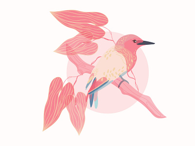 The Plucky in Pink art bird illustration illustration