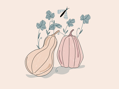 Squash and vines art design graphic design illustration pumpkins vector