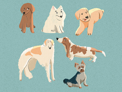 Dog medley 2d art character design digital illustration dog flat illustraion illustrator procreate shape texture