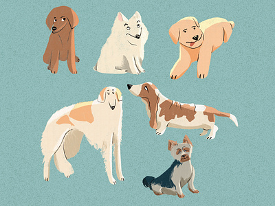 Dog medley 2d art character design digital illustration dog flat illustraion illustrator procreate shape texture