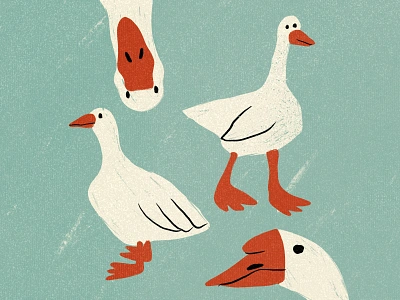 Geese 2d art design digital illustration digitalart flat illustraion illustrator procreate shape texture