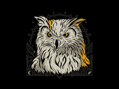 Nocturnal Owl 2d animal bird design digital drawing drawing illustration owl procreate