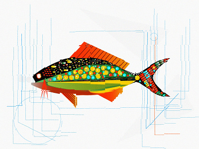 fish illustration vector