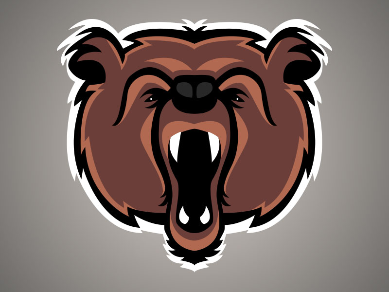Baby (but angry) Bear by Barbara Rezende on Dribbble