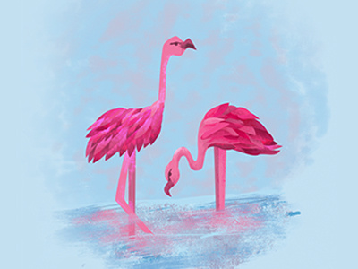 Pink Love animals design drawing flamingo illustration ilustración love pink water
